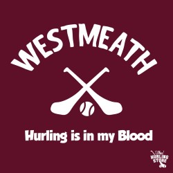 westmeath28
