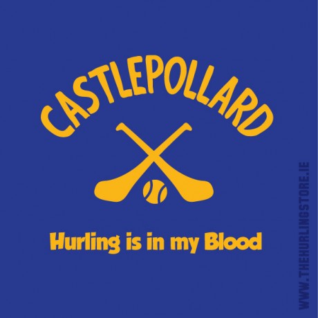 CASTLEPOLLARD13