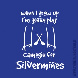 Silvermines17
