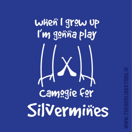 Silvermines17
