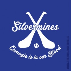 Silvermines27
