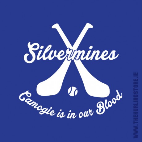 Silvermines27