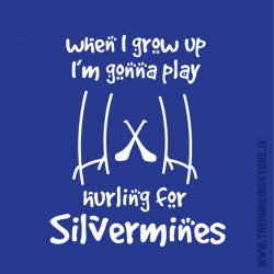 Silvermines63