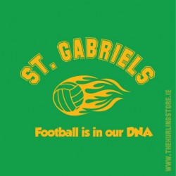 stgabriels20