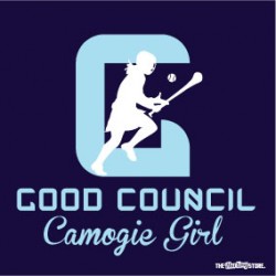 goodcouncil2