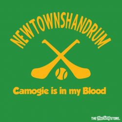 newtownshandrum20